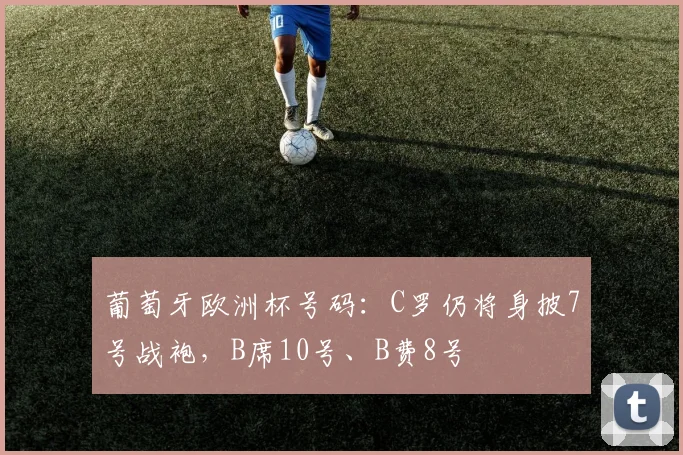 葡萄牙欧洲杯号码：C罗仍将身披7号战袍，B席10号、B费8号