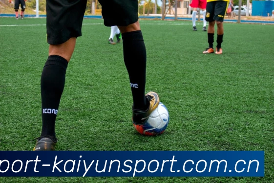 开云体育APP 封面图